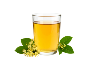 Linden Tea in Glass with Flowers and Leaves Herbal Drink.