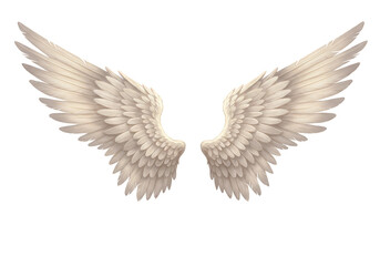 Obraz premium Illustration of Angel Wings White Feather Isolated on Transparent BG
