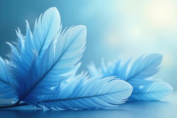 Naklejka premium Ethereal light blue feathers, soft texture, delicate down , feather texture, calm, art