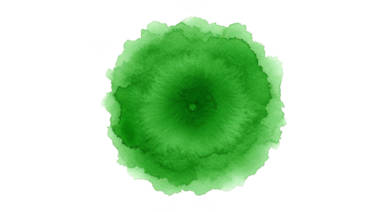 Isolated Green Watercolor Stain Transparent Background Art