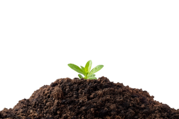 Rich, fertile soil mound against a stark black backdrop conveys earthiness and agricultural potential for various creative projects, transparent background. Ai Generated Images
