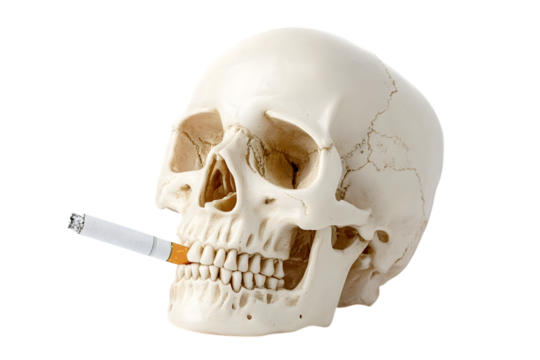 A stark visual metaphor featuring a skull smoking a cigarette against a black backdrop highlighting health risks and mortality, transparent background. Ai Generated Images
