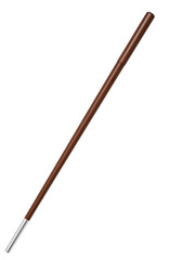 Illustration of Wooden Walking Cane Brown Color Elegant Accessory