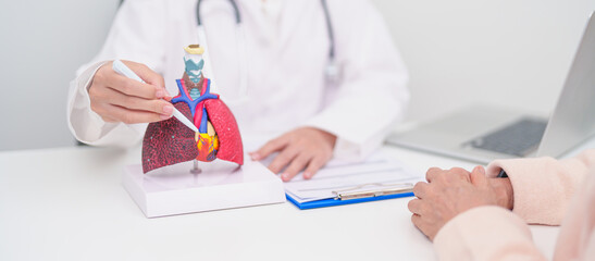 Doctor point heart Cardiovascular and Respiratory anatomy for Disease. Lung Cancer, Asthma, Chronic...