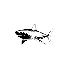 Shark Vector