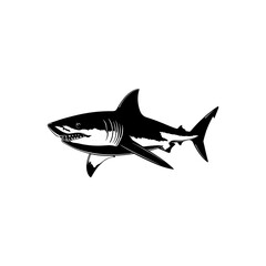 Obraz premium Shark Vector