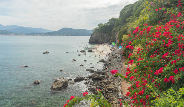 La Isla del Coral Beach, Nayarit, Mexico. Beautiful horizontal mourning view.