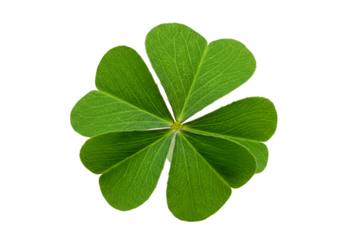 Isolated Shamrock PNG Green Clover Leaf Lucky Irish Spring Symbol