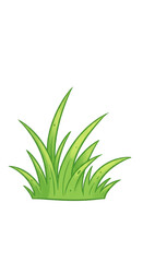 Obraz premium Green Grass Illustration Fresh Nature Plant Lawn Field Background