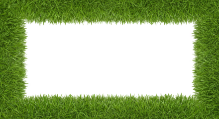 Green Grass Frame Background on Transparency with Textural Border