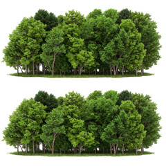 Isolated Green Trees Foliage Forest Landscape Transparent Background