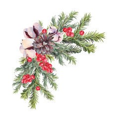 Watercolor Christmas tree branch with pine cone and cotton and red berry isolated on white background. Forest object for card. Hand-drawn clipart for New Year celebration wrapping or wallpaper