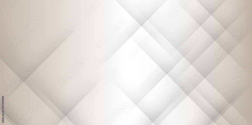 Poster elegant abstract background with grey lines with shadow. modern abstract gray line light dynamic sha