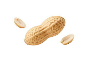 Isolated Peanut Shell Nut Food Brown Healthy Snack Ingredient