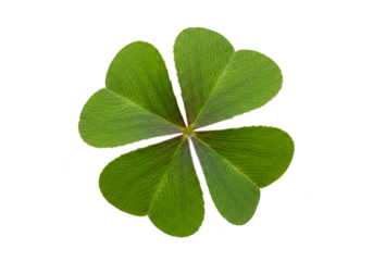 Isolated Shamrock PNG Four Leaf Clover Green Good Luck Background
