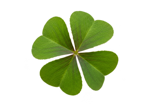 Isolated Shamrock PNG Four Leaf Clover Green Good Luck Background