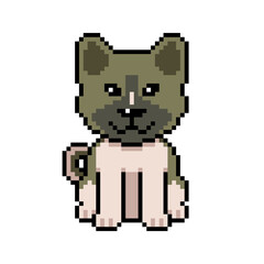 Obraz premium Pixel art cute akita inu dog vector in retro style