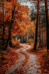 Obraz premium Path through autumn forest with fallen leaves creating a scenic view of covered leading