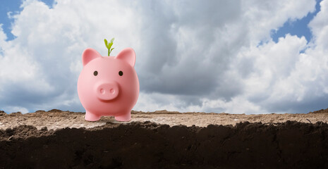 A pink piggy bank on fertile soil with a plant growing on it, concept of growth and savings