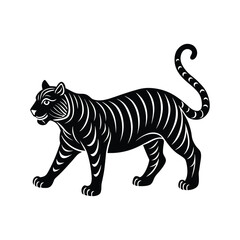 zebra vector illustration