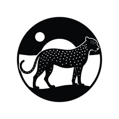 leopard on a white background