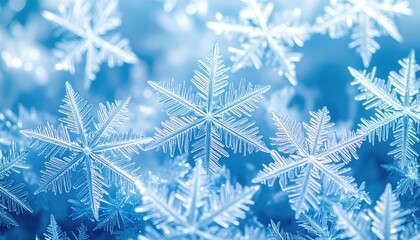 Closeup Of Beautiful Snowflakes