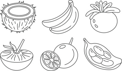 A line drawing of a coconut, bananas, mangosteen, tomato, orange, and jackfruit