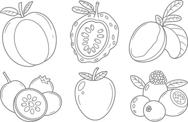 Outline drawing of various fruits including peach guava mango apple and blueberries