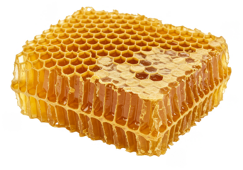 Transparent Honeycomb Structure Sweet Food Isolated Background PNG