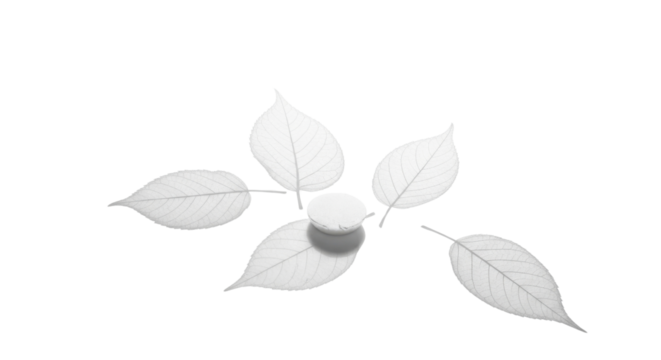Floral arrangement with leaves and small white candle isolated PNG with Transparent Background