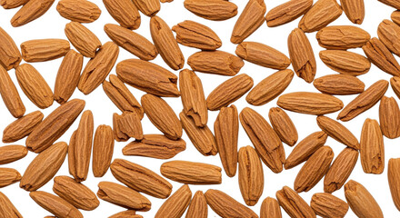 Scattered pile of natural neem tree seeds isolated PNG with Transparent Background