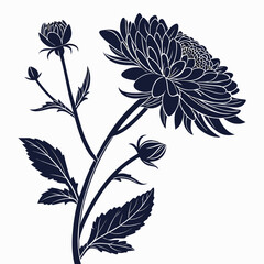 vector illustration of dahlia