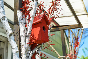 Rustic red birdhouse on birch trunks and red twigs in autumn light. Handcrafted seasonal decor brings vibrant charm to the backyard setting.