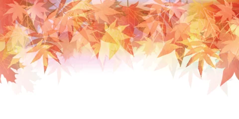 Fotobehang 紅葉　もみじ　秋　背景  © J BOY