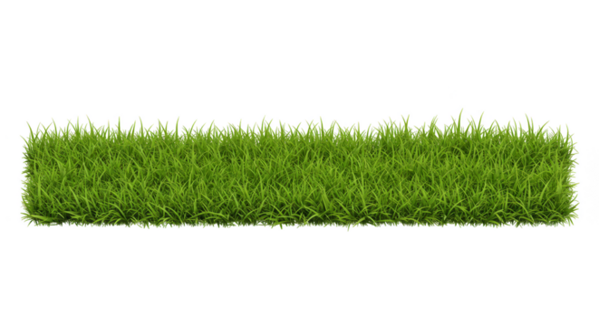 Isolated Green Grass Lawn Field Turf Nature Texture Background