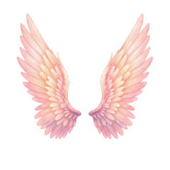 Obraz premium Watercolor Pink Angel Wings Feathers Isolated Element Graphic Illustration