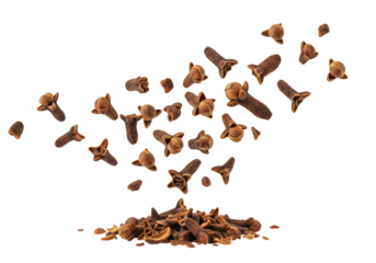 Isolated Pile of Brown Cloves Spices Transparent Background