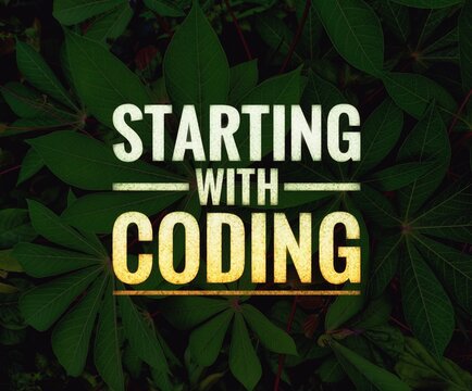 "A motivational phrase for beginners stepping into the world of programming. Ideal for tech education, coding bootcamps, or software learning content."