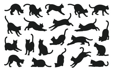 Fototapeta premium Feline figures graceful poses cats felines