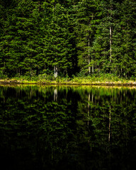 Obraz premium reflection in the water