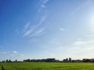Tranquil Rural Landscape Under a Bright Blue Sky with Lush Green Fields