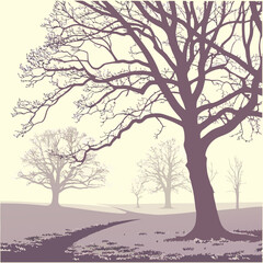 Obraz premium A solitary winding path leads through a serene landscape of bare winter trees under a pale sky evoking a sense of quiet solitude and natural beauty
