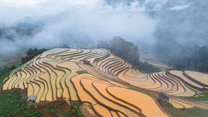 Hmong farmers prepare their fields and plant rice on terraced fields in Mu Cang Chai, Yen Bai....