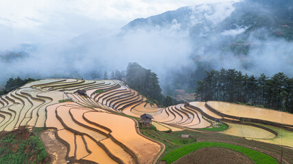Hmong farmers prepare their fields and plant rice on terraced fields in Mu Cang Chai, Yen Bai....