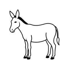 donkey isolated on white background
