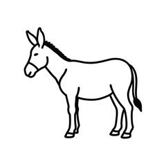 donkey isolated on white background