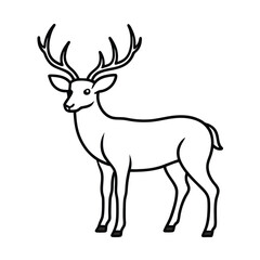 -young-stag-with-short-antlers--