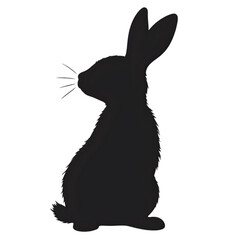 Silhouette of a Rabbit Against White Background