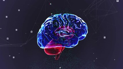 3D brain model appearing against dark network, rotating with drifting data nodes for tech demo - Powered by Adobe