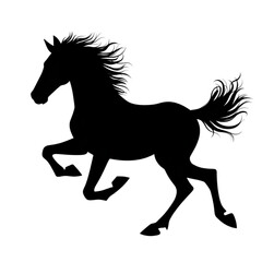 Majestic Horse Galloping in the Open Field Scene